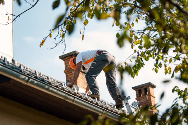 Quick and Trustworthy Emergency Roof Repair Services in Ripley, OH