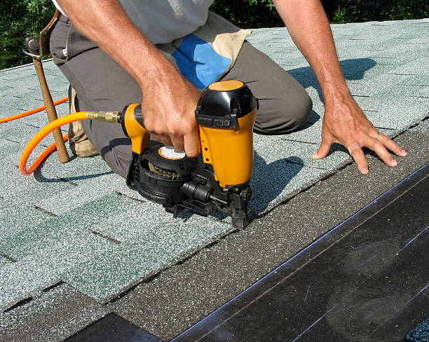 Best Roof Maintenance Services  in Ripley, OH