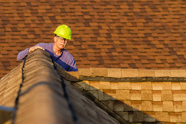 Best Metal Roofing Contractor  in Ripley, OH